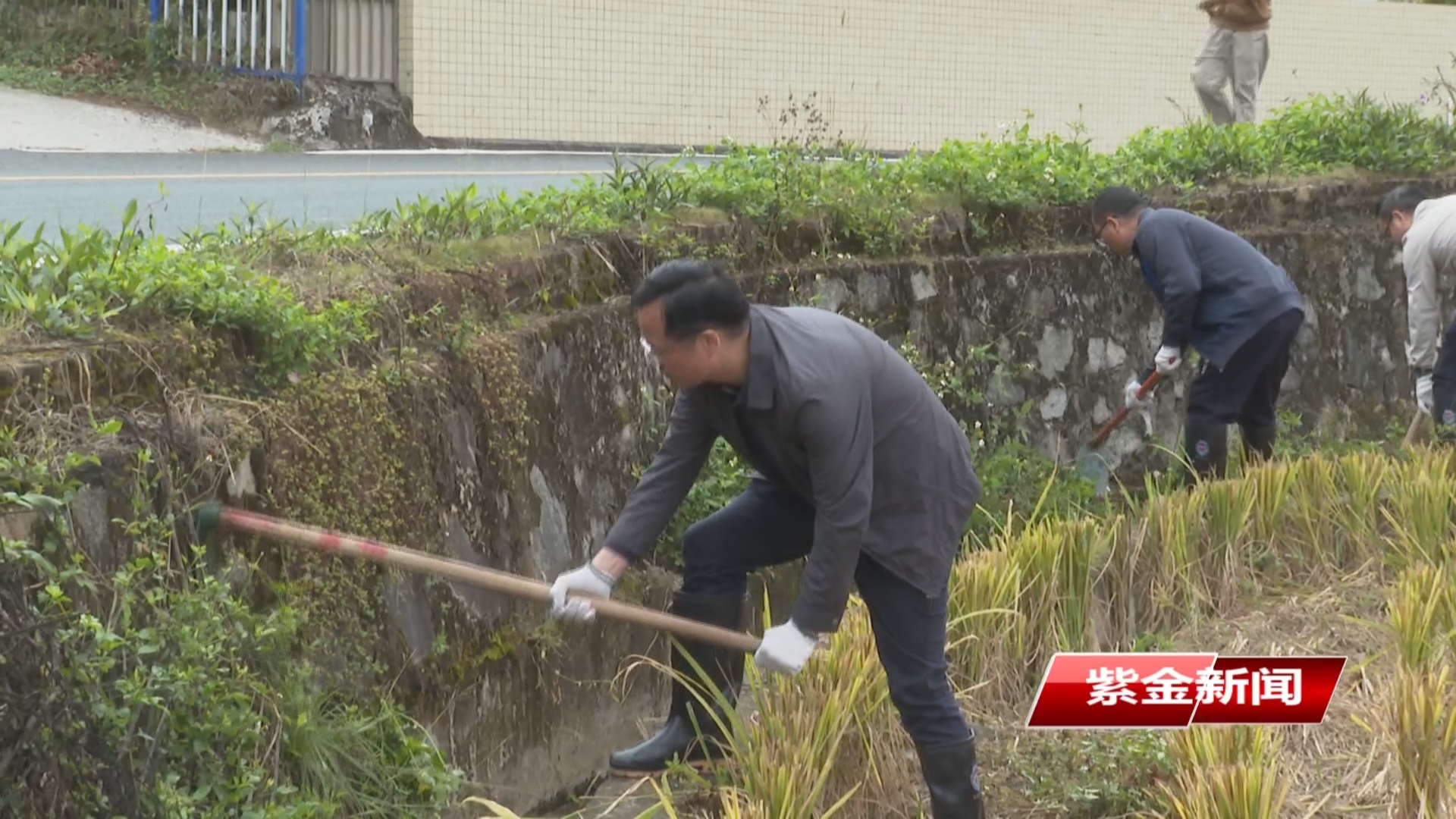 邓红卫率队到紫城镇黄花村开展“千塘万渠”水塘河道清淤行动