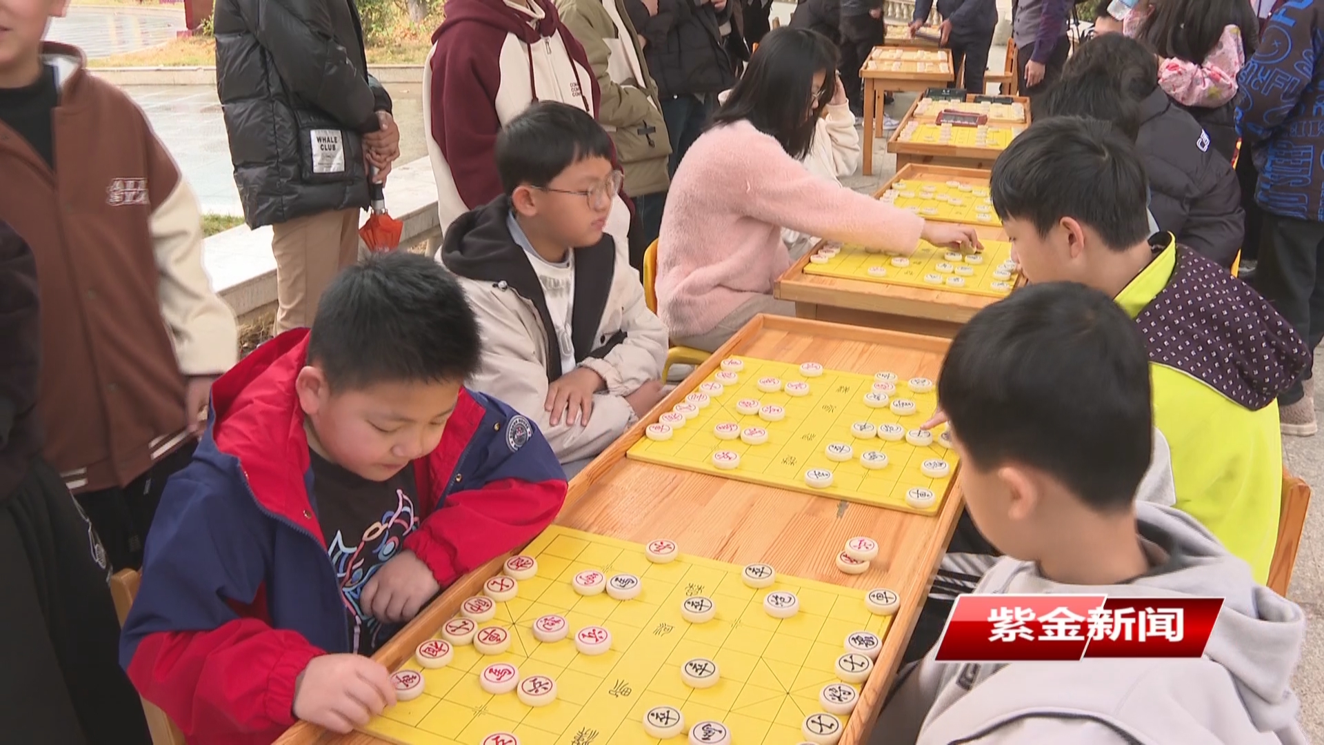 紫金举办元宵节中国象棋擂台赛