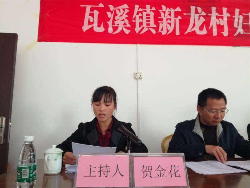 紧跟步伐,瓦溪镇新龙村妇女第一次代表大会顺利召开-紫金县人民政府